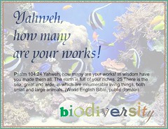 Psalm 104 biodiversity project