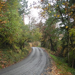 Dixie Mountain Road