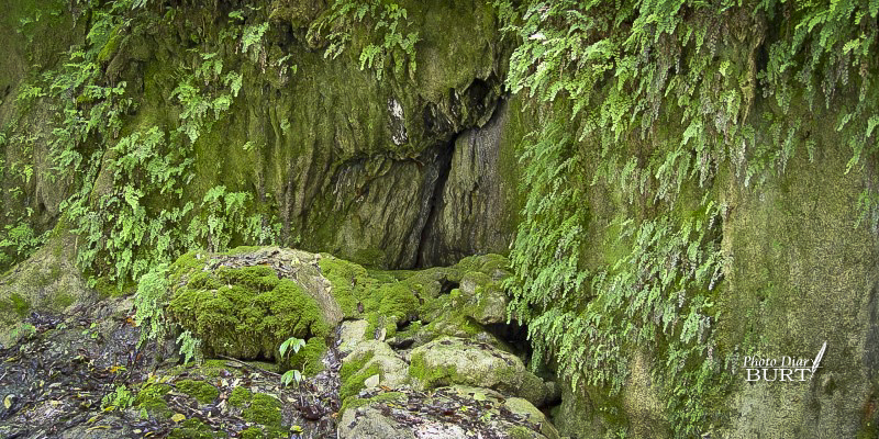 碳酸鈣覆蓋的岩壁