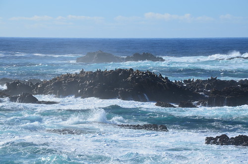 Sea Lion Rocks