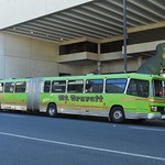 Mt. Gravatt Bus Service
