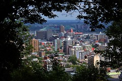 2011-08-12 - Parc du Mont-Royal, Montréal