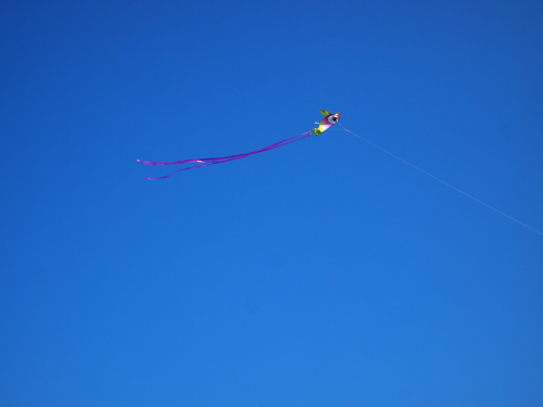 kiteflying