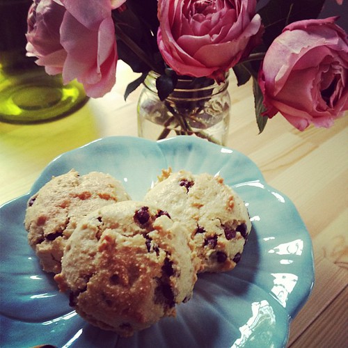Gluten free/grain free cookie recipe in the works by elletrain