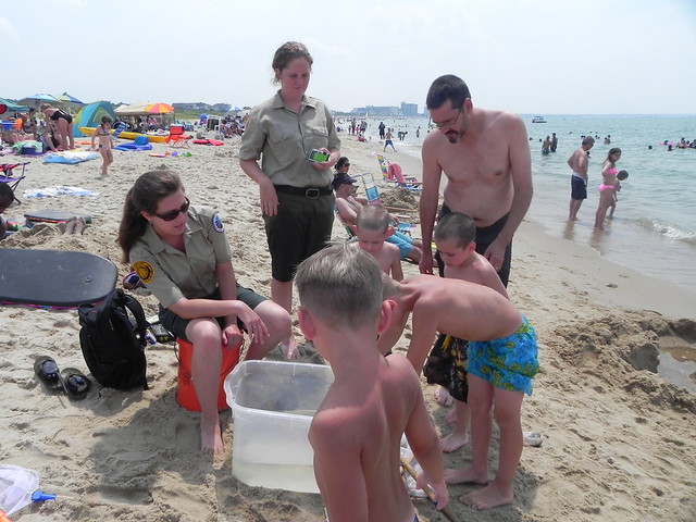 Marine life education programs are popular at First Landing State Park.