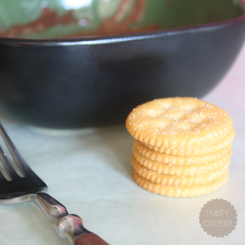 Homemade Thin Mint Cookies - two ingredients and 10 minutes