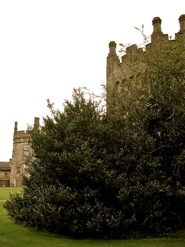 Kilkenny Castle 06