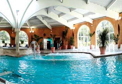Indoor Luxury Swimming Pool - Loire Valley, France