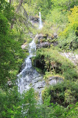 Canonteign Falls, Devon