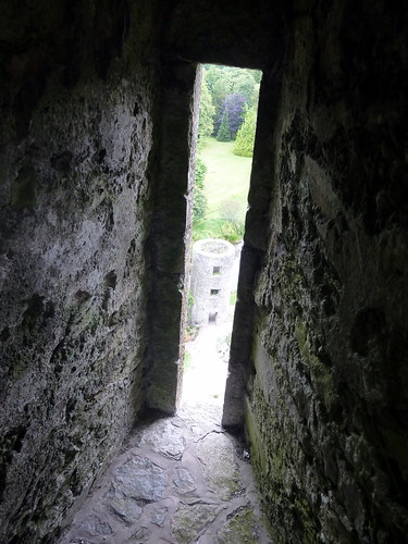 Window, Blarney Castle, Ireland