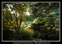 Albertson, NY - Clark Botanical Gardens