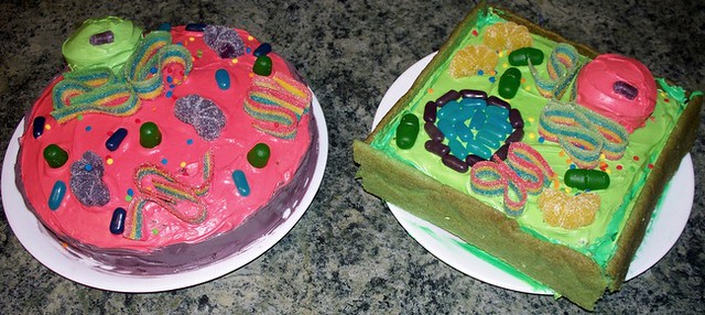 Making a 3-D plant cell model can be done using materials such as building  blocks.. How to Make a Simple 3D Plant Cell Cake. Plant cells are the basic.