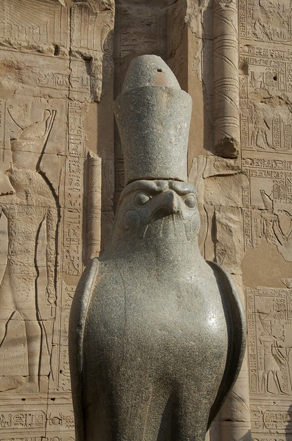 Egypt 2011 - Stone Hawk