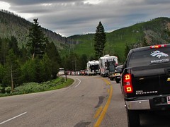 July 12, 2011-Upper Loop of Yellowstone National Park