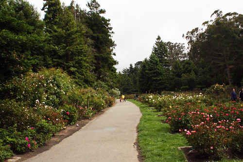 Rose Garden, Golden Gate Park