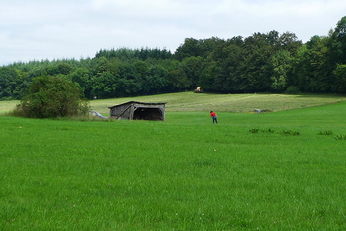 Landschaft bei Weickhartsheim mit Blick auf die Hütte von Martina Schoder. Ende Juli 2011