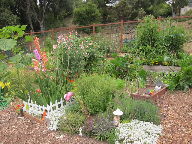 Garden 2011