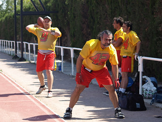 Spanish Flag Bowl 2010