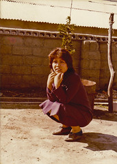 korea 1980-1981