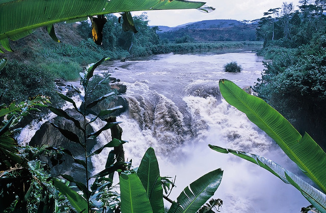 Download this Rusumo Falls From The... picture