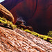 Uluru laced with green