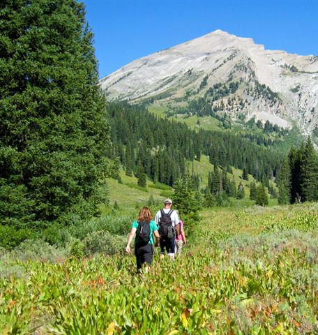 Visitors Hiking on Bridger-Teton National Forest in Wyoming
