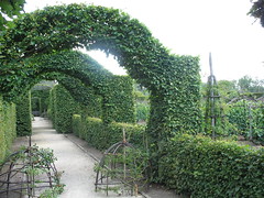 Jardins du Prieuré d'Orsan - Maisonnais {juli 2011}