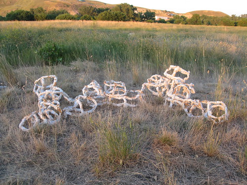 Prairie Installation at Sunset