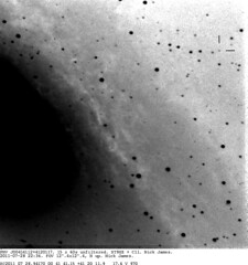 M31 Novae