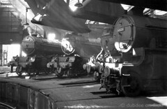 Steam in the 60s York