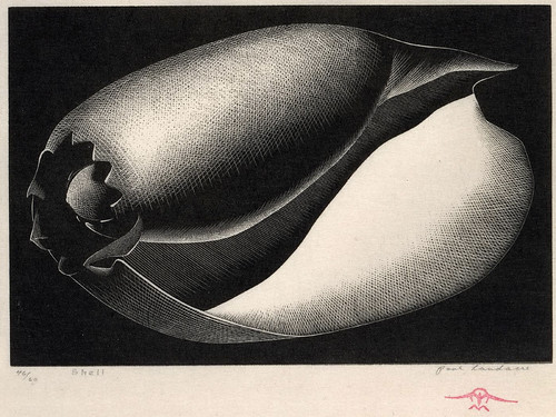 "Shell" - Paul Landacre - Wood Engraving - 1935