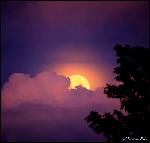 geese sunset, moon rising 078bbj