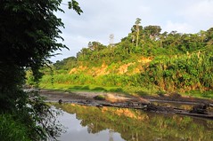 Amazon, Peru
