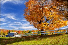 Un automne dans le New England