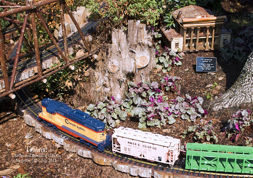g scale trains