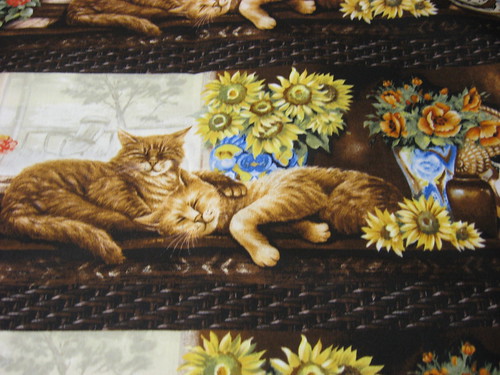 napping cats, brown