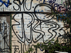 Graffiti - SMC