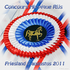 Concours Hippique Rijs 2011