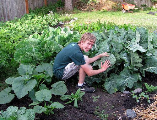 Giant veggie plants, with Nolan for scale