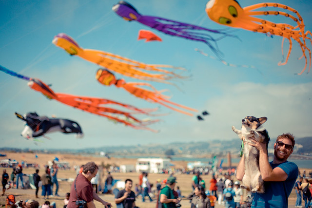 berkeley, kite, festival