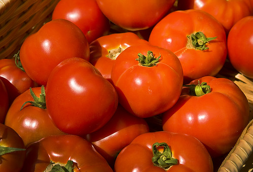 tomato reds