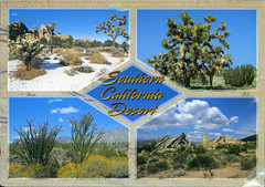 postcards - Southern California
