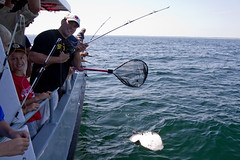 20110731 - Cub Scout Fishing