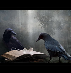 Book of Raven