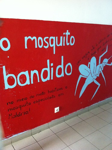 DAY #1: "Malaria-Mosquito warning sign painting on corridor wall - Maputo" ... Kevin McKidd