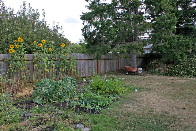 Our garden starts to wind down for the fall