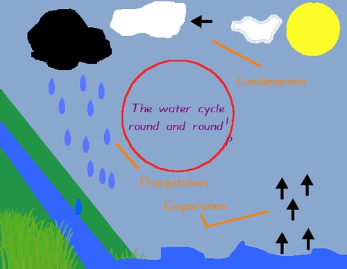 The water cycle by Lucy