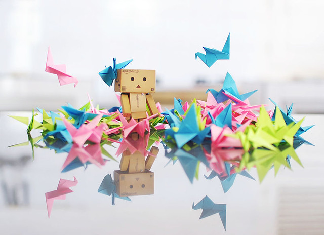 Danbo's All Time Love