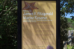James Fitzgerald Marine Reserve