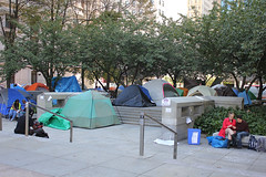 IMG_2261 #ows